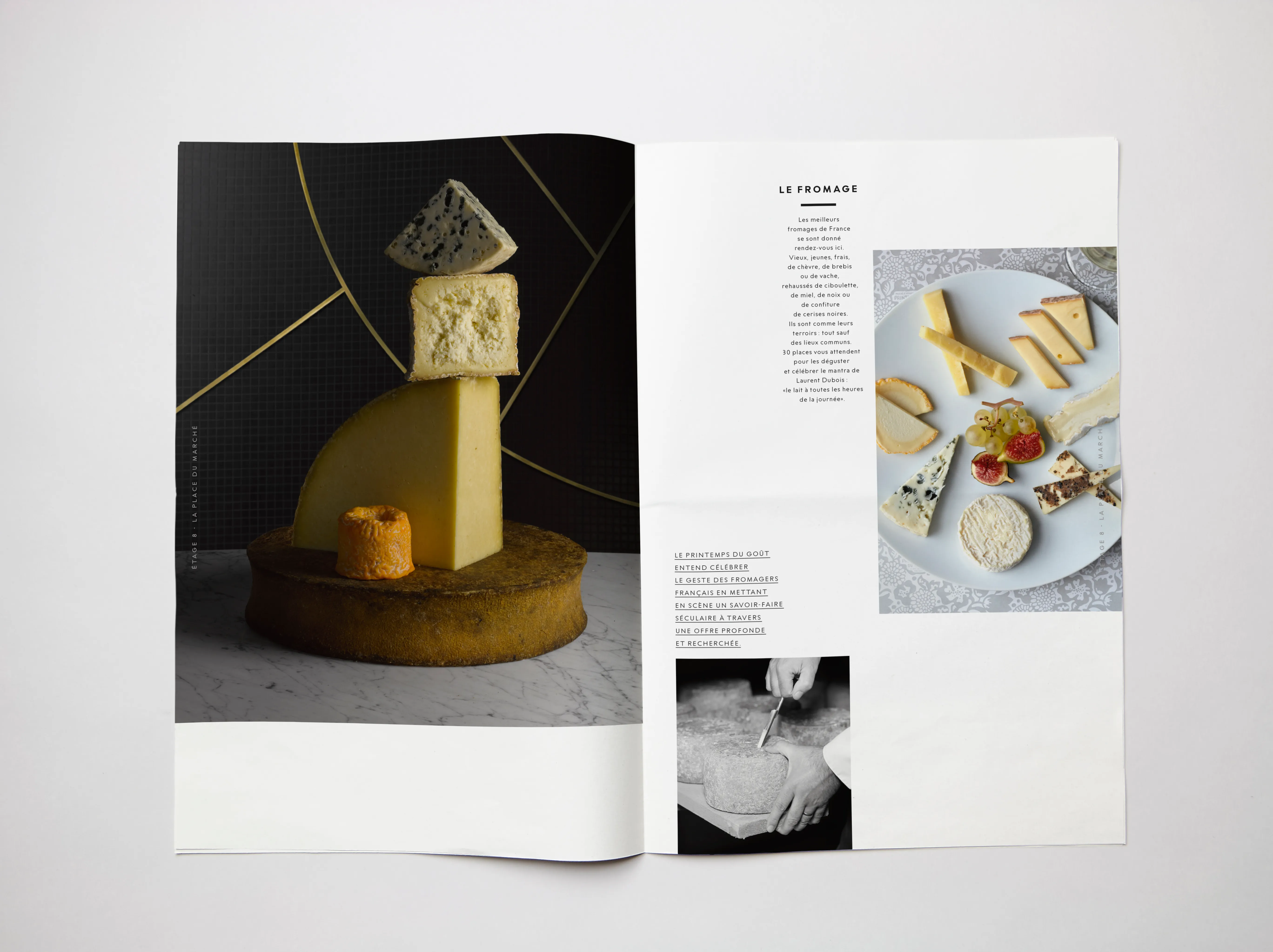 Printemps du Goût - Le Fromage 2