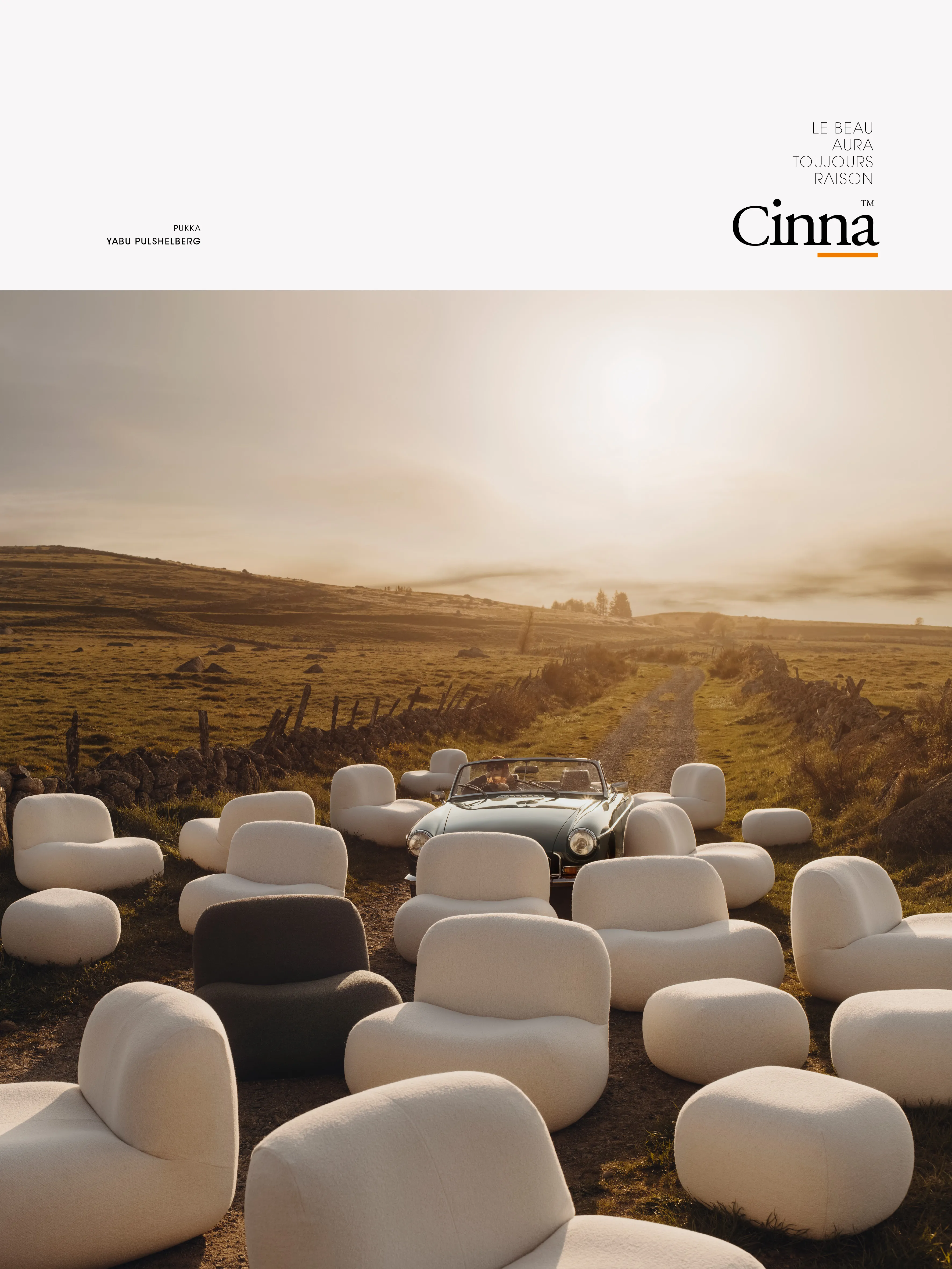 Cinna - Collector 6