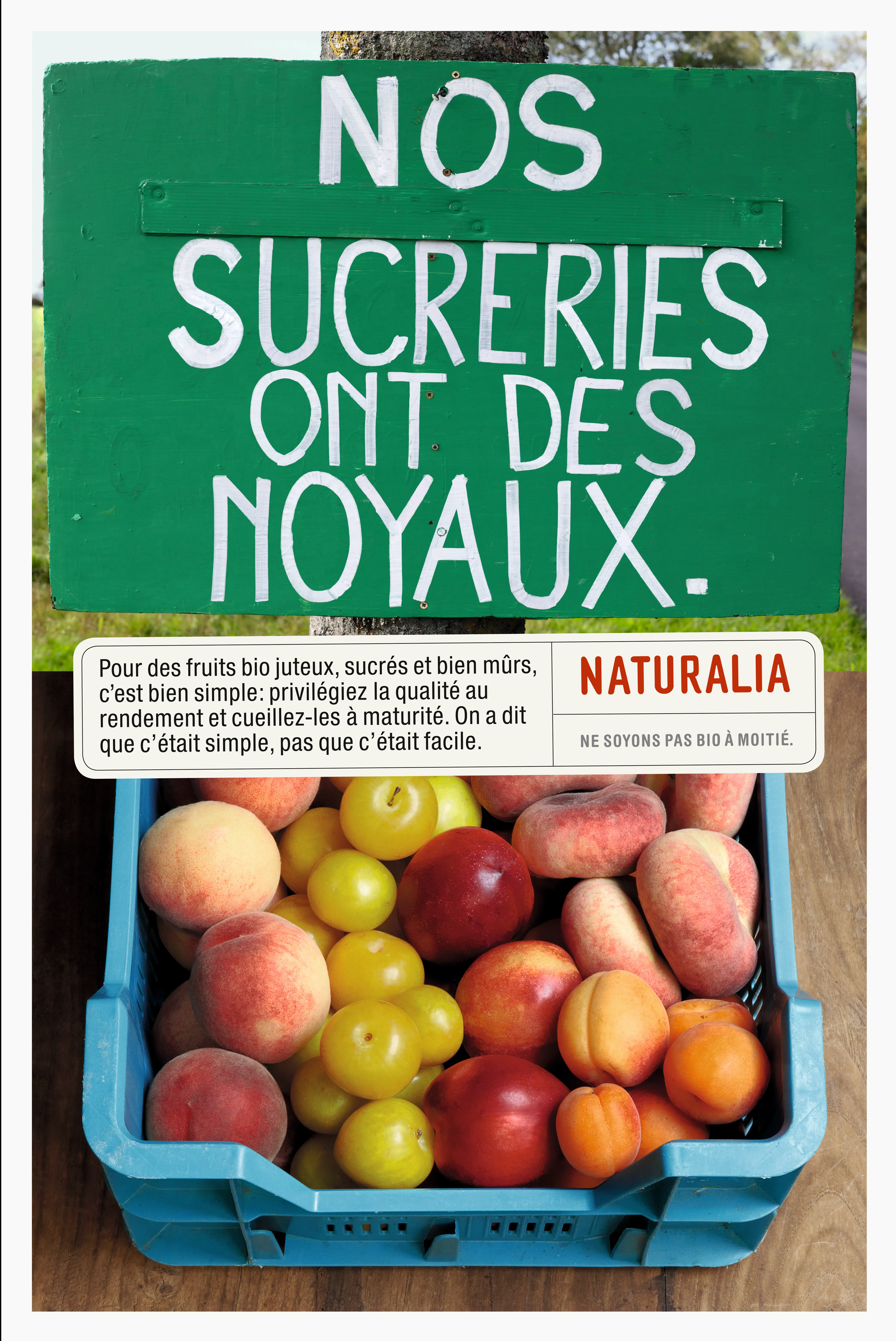 Naturalia - Fruits jaunes