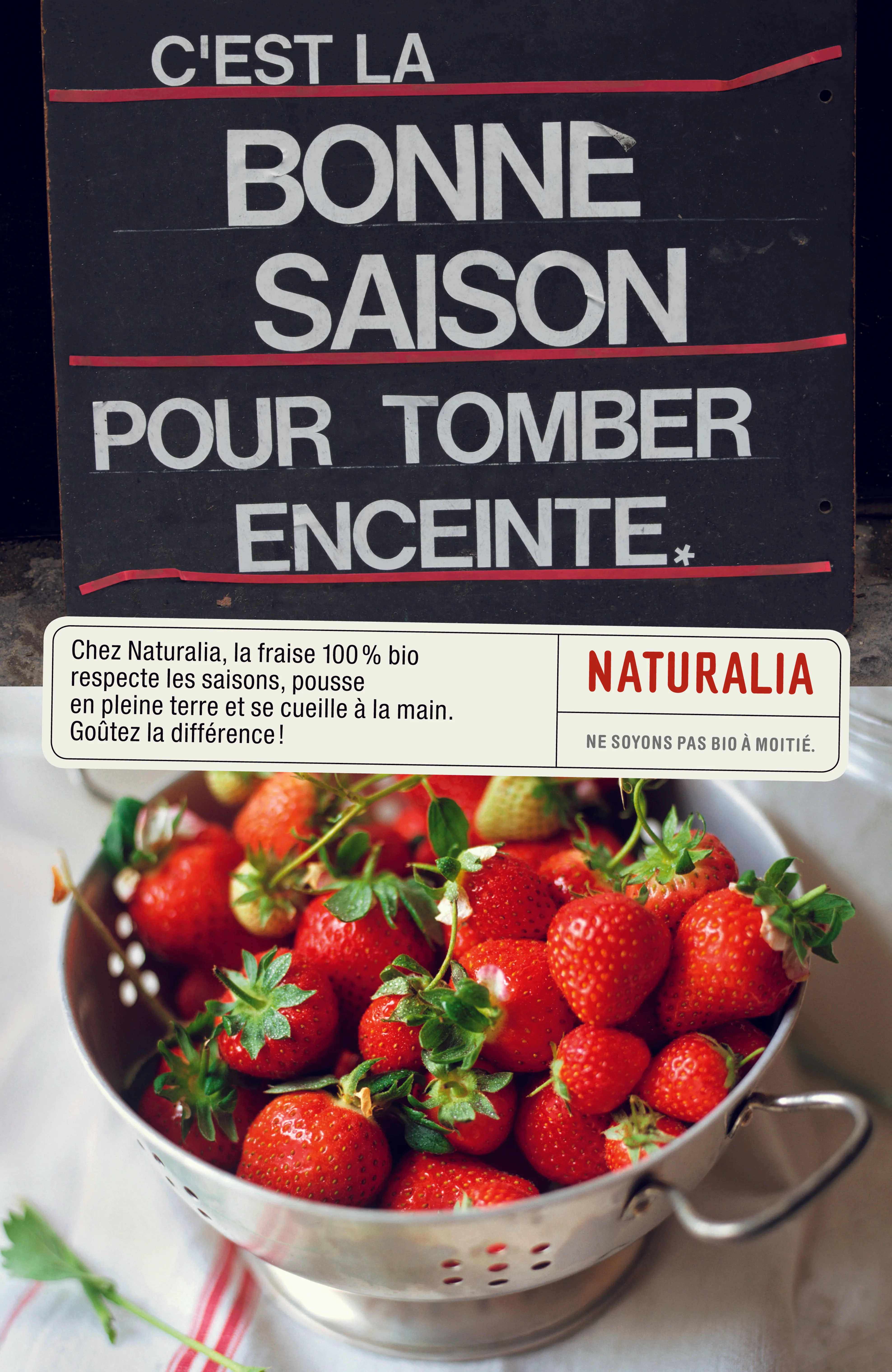 Naturalia - Fraise